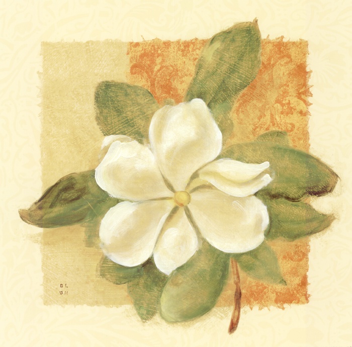 Cheri Blum Magnolia of Spring